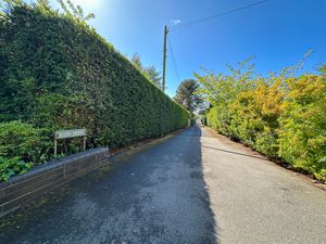 Photo 24- click for photo gallery